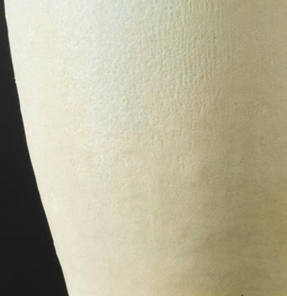 Strontium Crystal Magic (SCM)