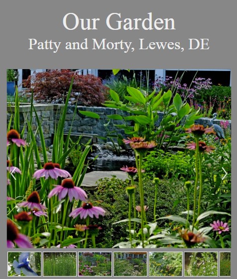  Hawkseye in Lewes, DE - Garden Tour